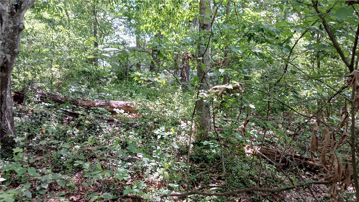 Land in Bella Vista 4