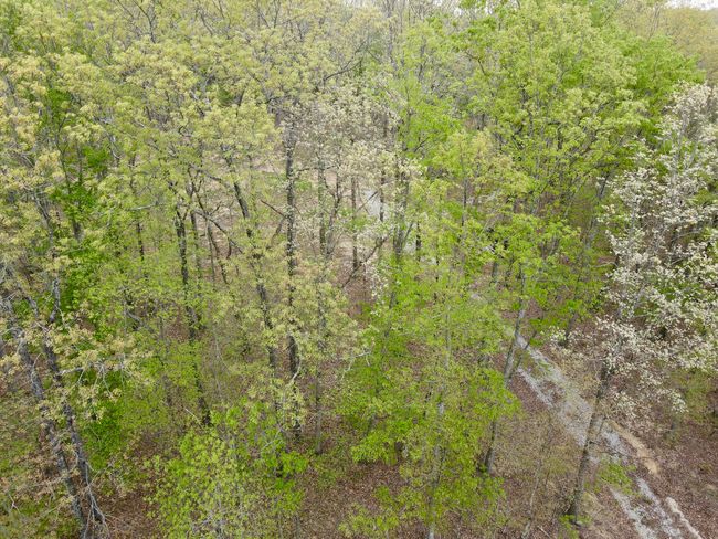 0 Deerwood Dr, Home with 0 bedrooms, 0 bathrooms and null parking in Sewanee TN | Image 32