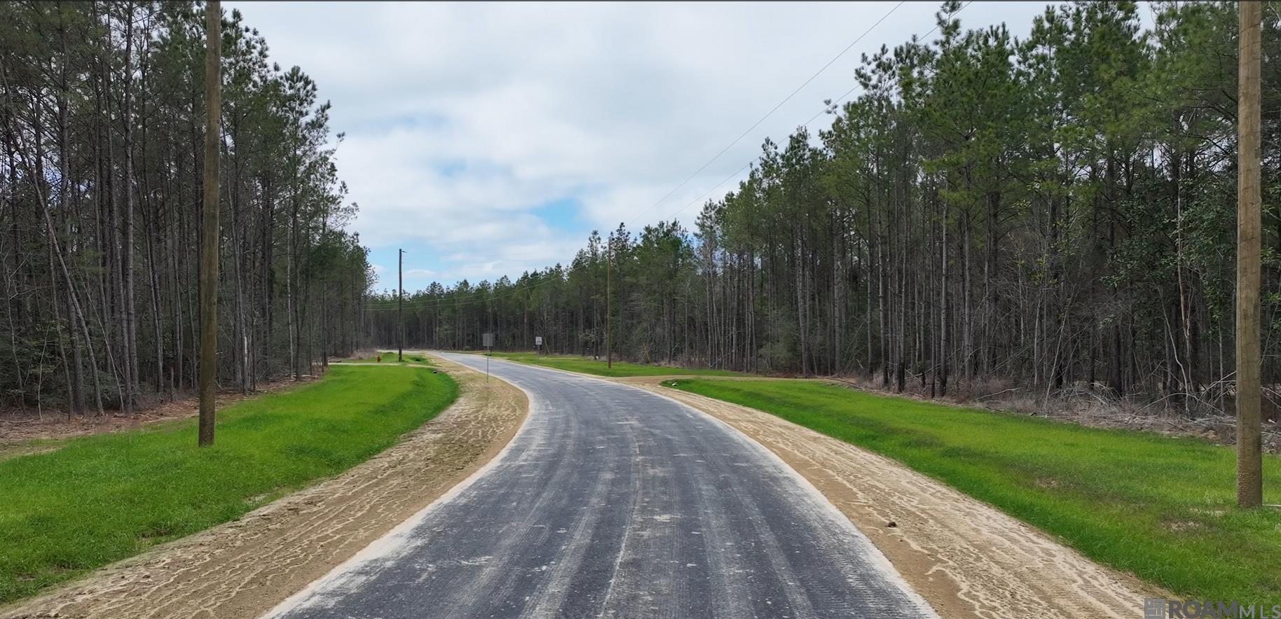 Land in Livingston 5