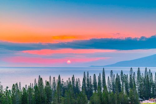 4-500 Kapalua Dr, Lahaina, HI, 96761-9075 | Card Image