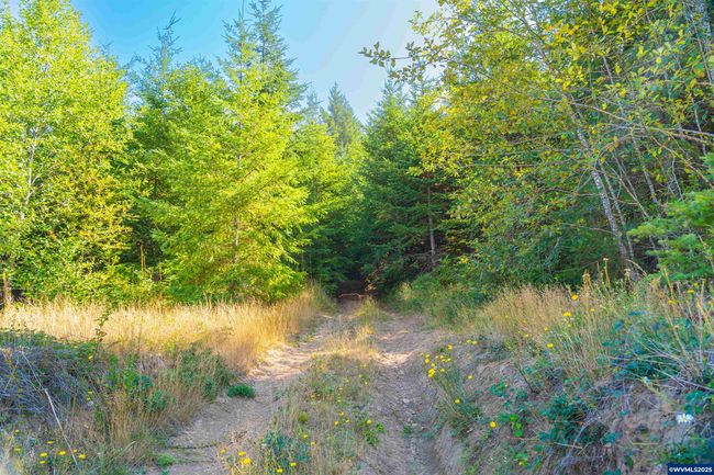 0 Bald Mountain Rd, Home with 0 bedrooms, 0 bathrooms and null parking in Beaver OR | Image 25