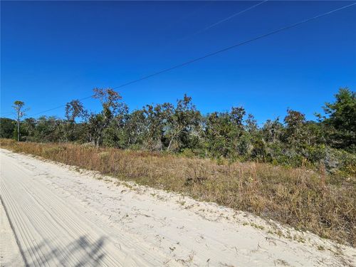 tbd Ne 66th Ln, WILLISTON, FL, 32696 | Card Image