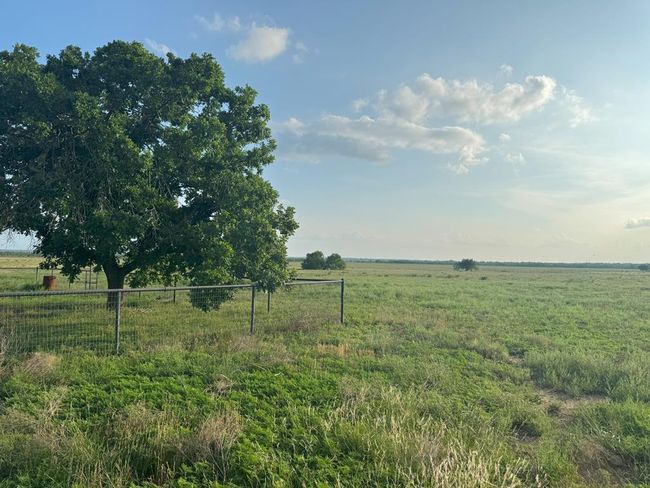 6995 County Road 204, Home with 0 bedrooms, 0 bathrooms and null parking in San Saba TX | Image 7