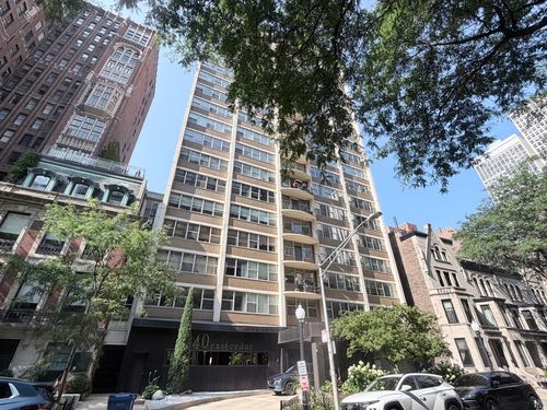 11c-40 E Cedar St, Chicago, IL, 60611-1146 | Card Image