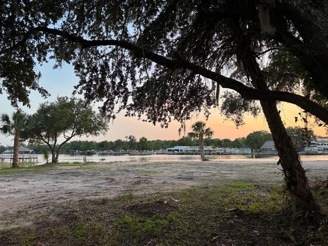 1570 Riveredge Ct, Home with 0 bedrooms, 0 bathrooms and null parking in Astor FL | Image 24