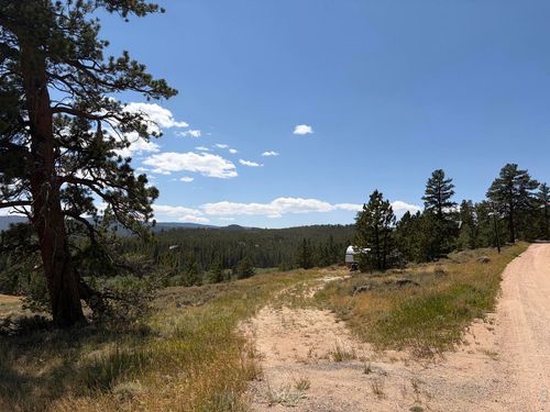 6920 Ottawa Way, Red Feather Lakes, CO, 80545 | Card Image