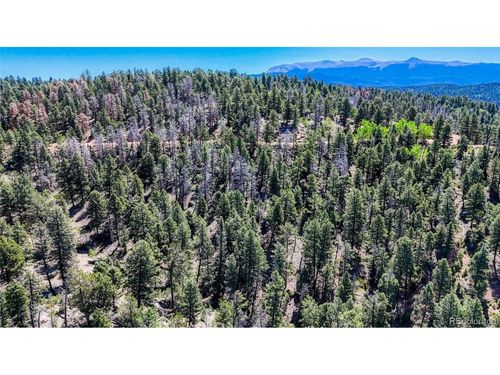 3454 N Mountain Estates Rd, Florissant, CO, 80816 | Card Image
