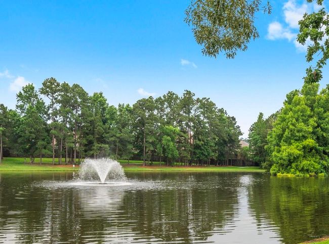 Neighborhood Pond is nearby | Image 47