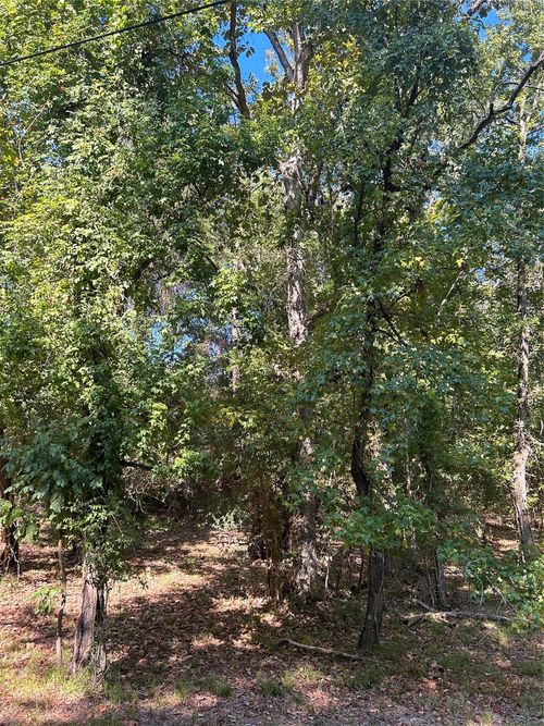 TBD Joanna Hill Dr, Livingston, TX, 77351 | Card Image