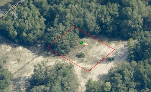 6482 N Bluebonnet Drive, HERNANDO, FL, 34442 | Card Image