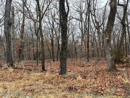 TBD Bluewater Ct, Lake Ozark, MO, 65049 | Card Image
