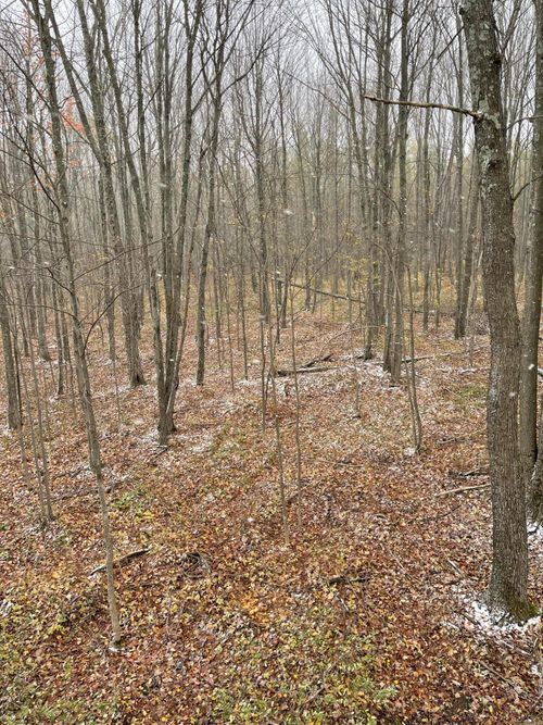 4812 Spur Five, SHELDON, WI, 54766 | Card Image