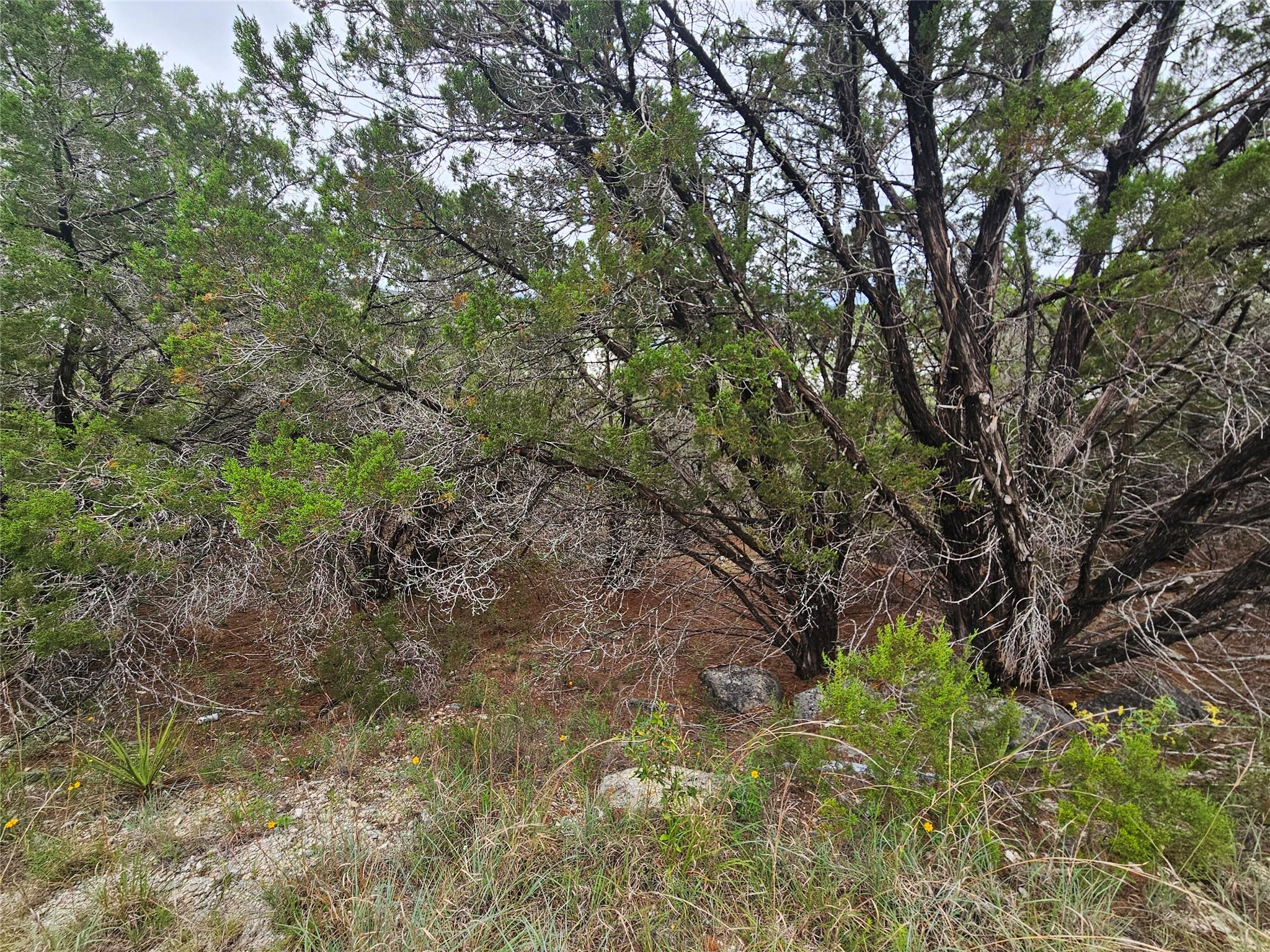 Land in Lago Vista 2