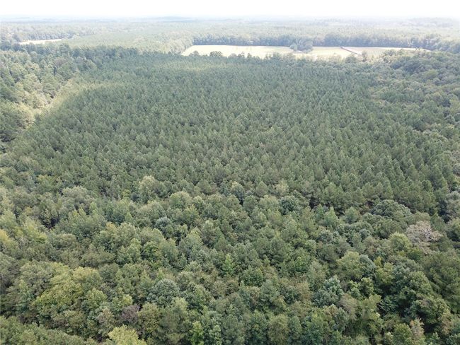 00 Highway 371, Home with 0 bedrooms, 0 bathrooms and null parking in Rosston AR | Image 7