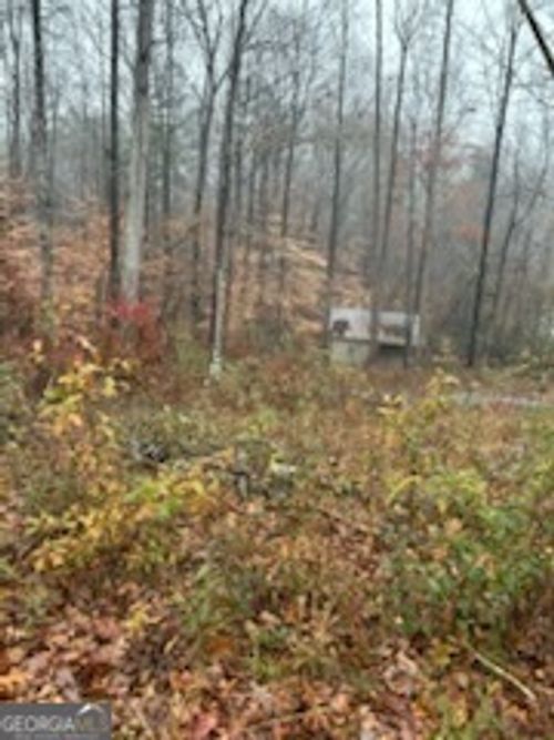 17 Lakeside Trl, Martin, GA, 30557 | Card Image