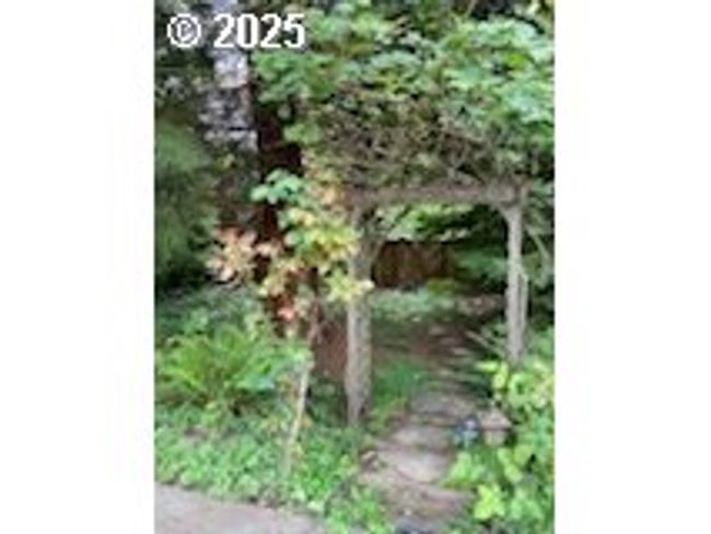 Yard | Image 36