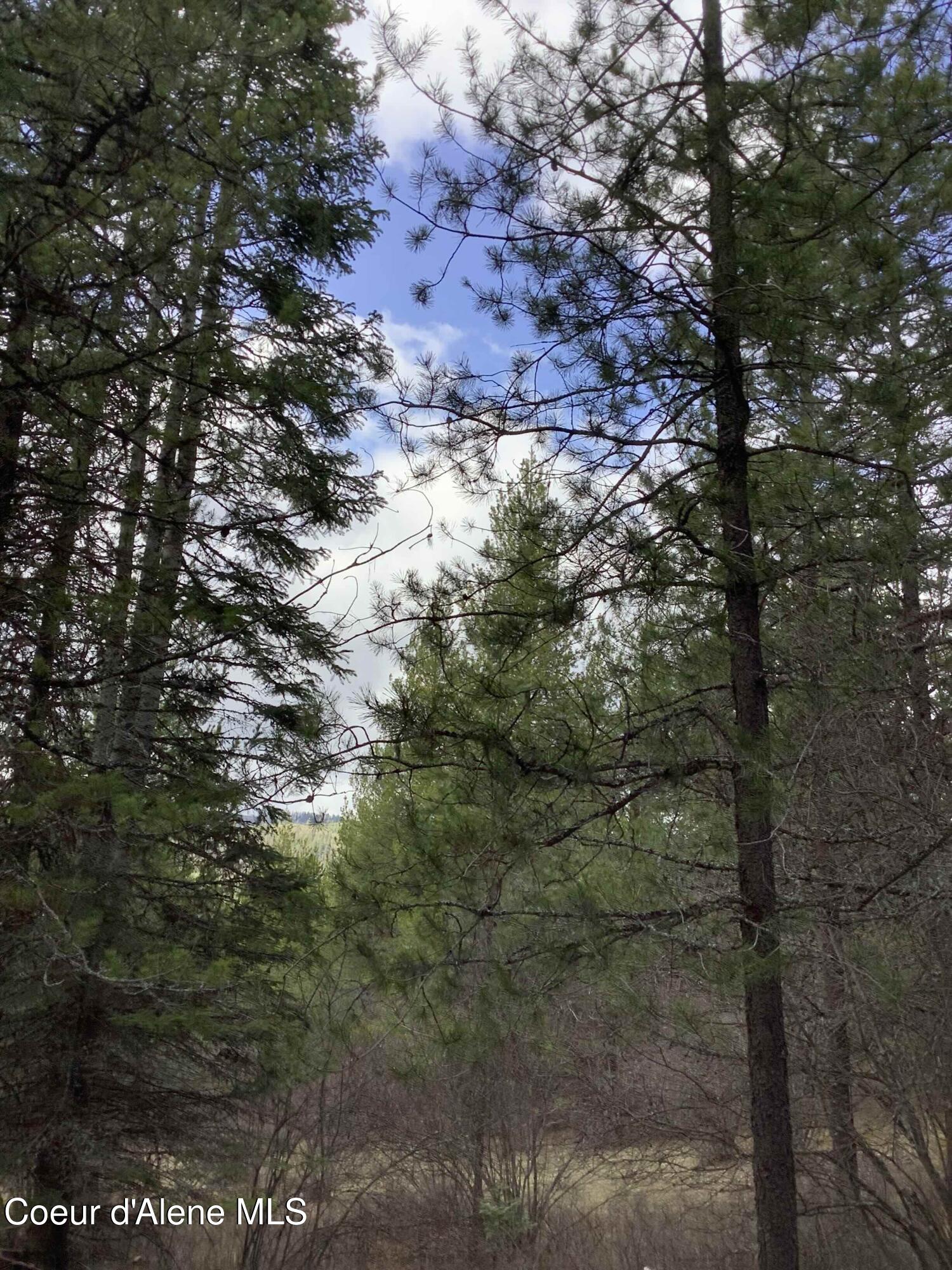 Land in St. Maries 5