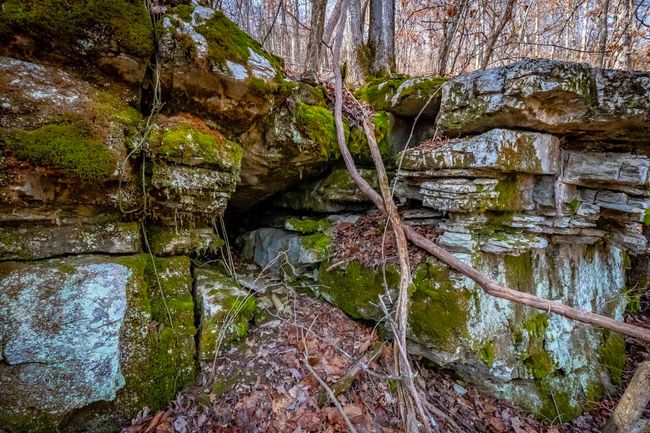 00 Bear Skin Dr, Home with 0 bedrooms, 0 bathrooms and null parking in Harriet AR | Image 9