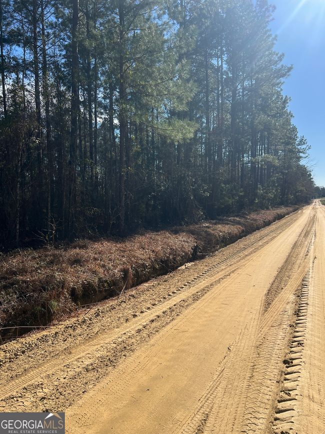 2734 Empire Chester Hwy, Home with 0 bedrooms, 0 bathrooms and null parking in cochran GA | Image 9