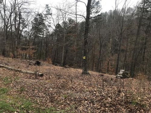 Lot 26 Sawmill Cove, Rockwood, TN, 37854 | Card Image