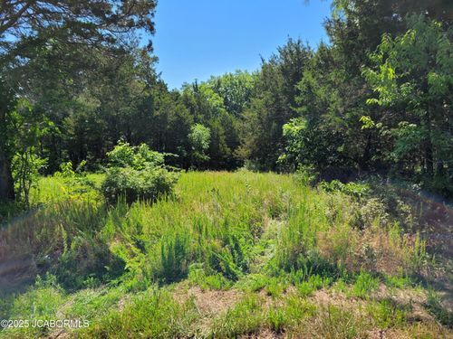 TBD River Cove Ln, BELLE, MO, 65013 | Card Image