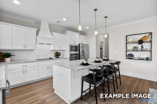 203 Cave Lake, Owens Cross Roads, AL, 35763 | Card Image