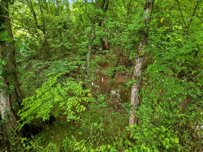 1721 Mccray Rd, Home with 0 bedrooms, 0 bathrooms and null parking in Cohutta GA | Image 12
