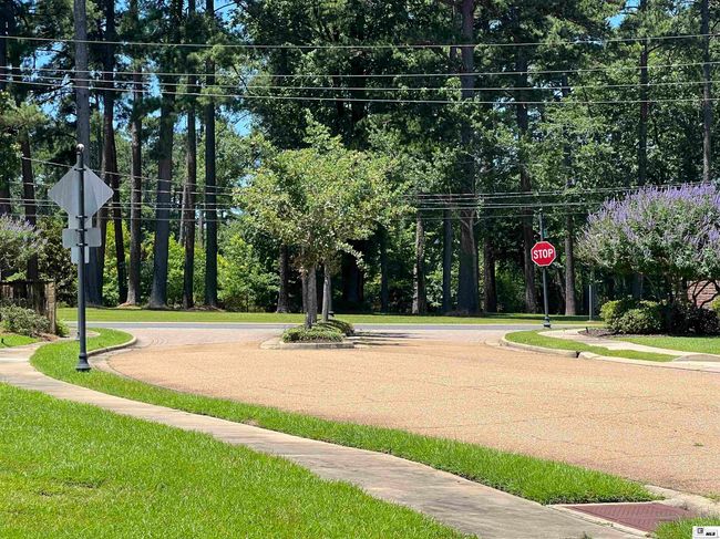 116 Canard Ct, Home with 0 bedrooms, 0 bathrooms and null parking in Ruston LA | Image 4