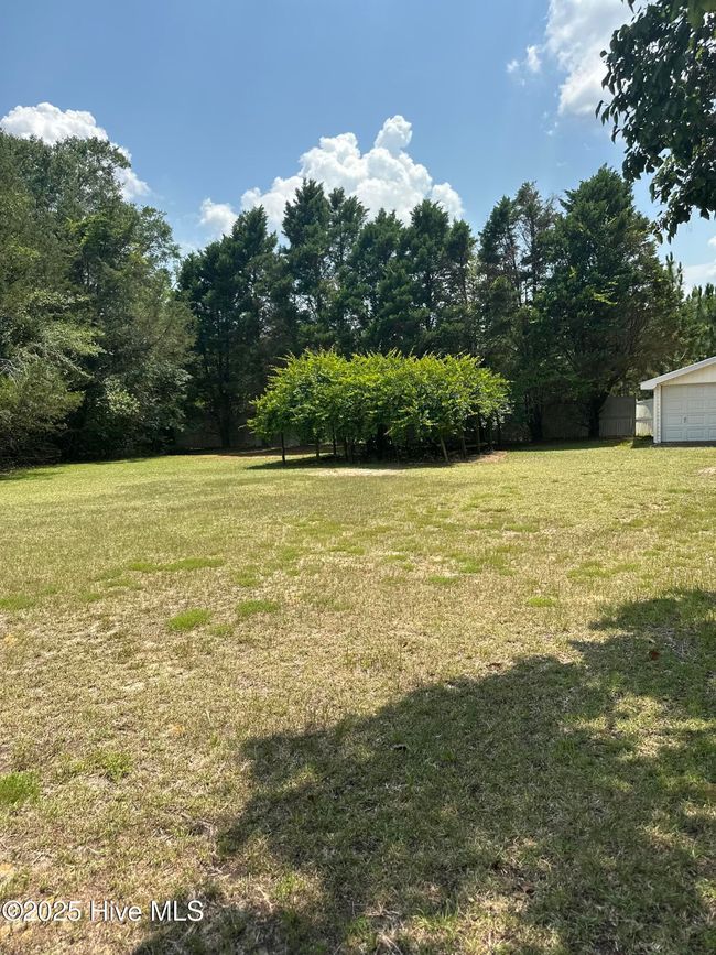 109 Conway Rd, House other with 3 bedrooms, 2 bathrooms and null parking in Fair Bluff NC | Image 10
