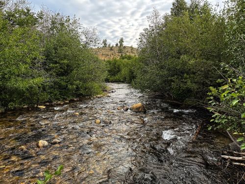 43 Mill Creek Highway, Anaconda, MT, 59711 | Card Image