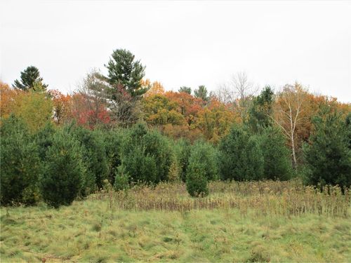 Parcel 2 90th Street, Frederic, WI, 54837 | Card Image