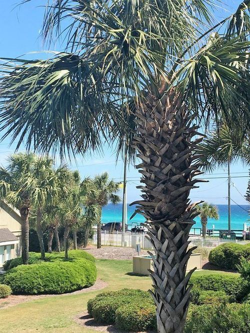 unit-162-86 S Driftwood Bay, Miramar Beach, FL, 32550-3036 | Card Image