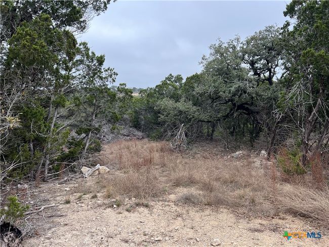 713 Stagecoach Trl, Home with 0 bedrooms, 0 bathrooms and null parking in Spring Branch TX | Image 4