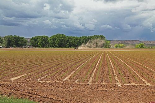 TBD Lot 2 Shavano Valley Rd, Montrose, CO, 81403 | Card Image