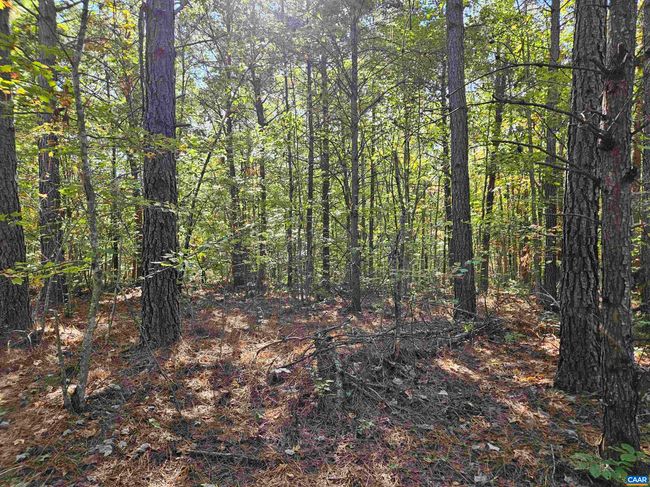 10239 Howardsville Rd, House other with 2 bedrooms, 1 bathrooms and null parking in HOWARDSVILLE VA | Image 43