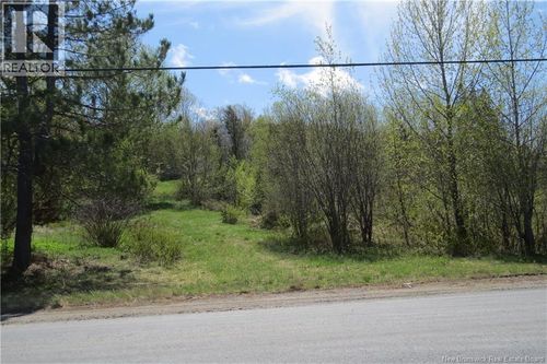 29 2nd Ave, Napadogan, NB, E6B1Y5 | Card Image