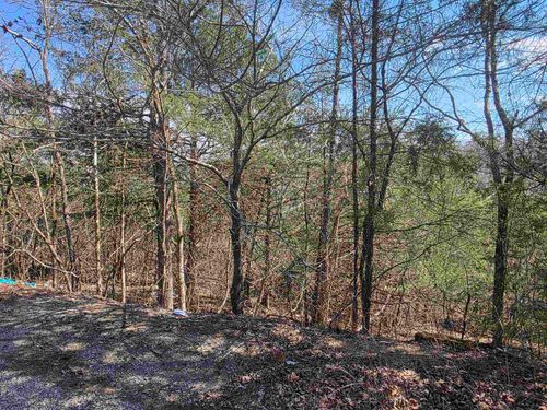 L24 B6 Chief Day Break Drive, Cherokee Village, AR, 72529 | Card Image