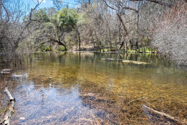 Water view featuring a view of trees | Image 36