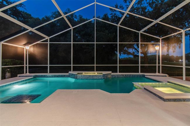 17515 Edinburgh Dr, House other with 4 bedrooms, 4 bathrooms and null parking in Tampa FL | Image 67