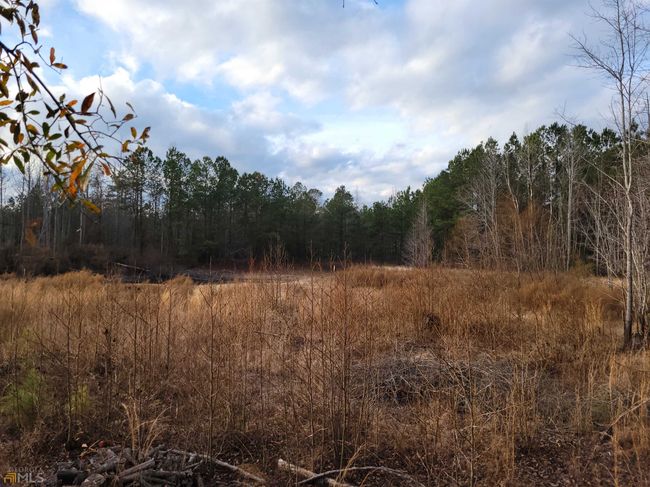 2757 Us Highway 1 N, Home with 0 bedrooms, 0 bathrooms and null parking in swainsboro GA | Image 8