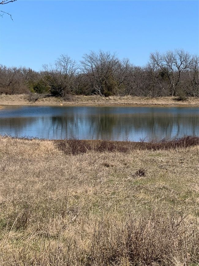 Pond on Lot 3. Just driving around on the gorgeous land. | Image 15