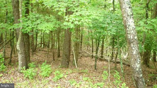 Lot 180 Stuart Dr, BASYE, VA, 22810 | Card Image