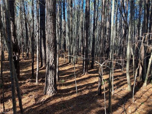 00 Nc Highway 134 N, Star, NC, 27356 | Card Image