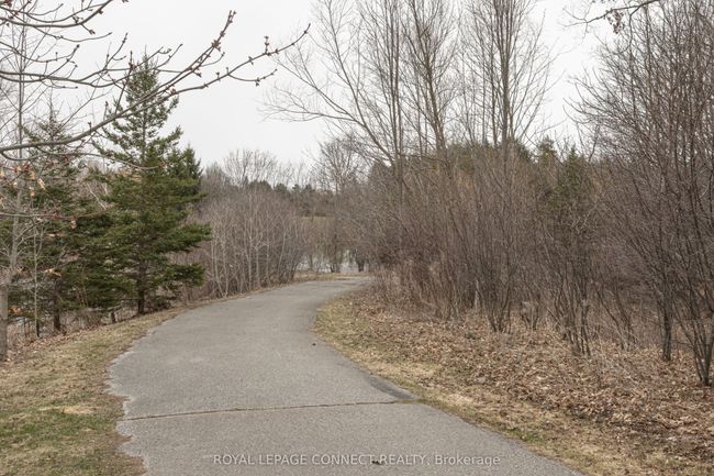 4 Branthaven Crt, House other with 3 bedrooms, 2 bathrooms and 2 parking in Whitby ON | Image 47