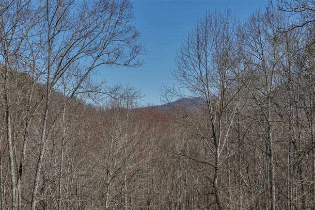 Winter view | Image 35