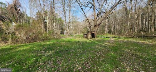 5911 C Road, SNOW HILL, MD, 21863 | Card Image