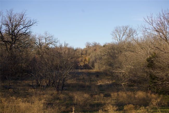 View of local wilderness | Image 40