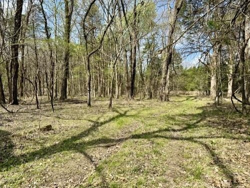 000 Milligan Campground Road, Strawberry, AR, 72469 | Card Image