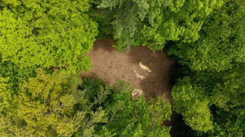 0 Towee Mountain Rd, Reliance, TN, 37369 | Card Image