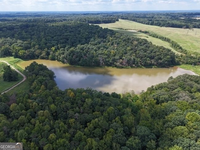 TRACT-11 - 0 Sanford Dr, Home with 0 bedrooms, 0 bathrooms and null parking in Nicholson GA | Image 11